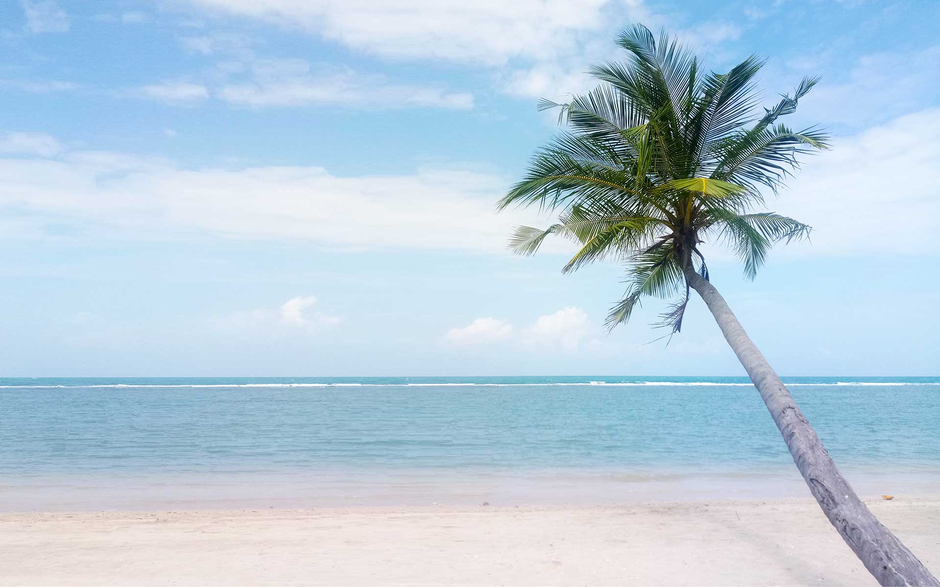 Best Sri Lanka Holidays special beach offer background