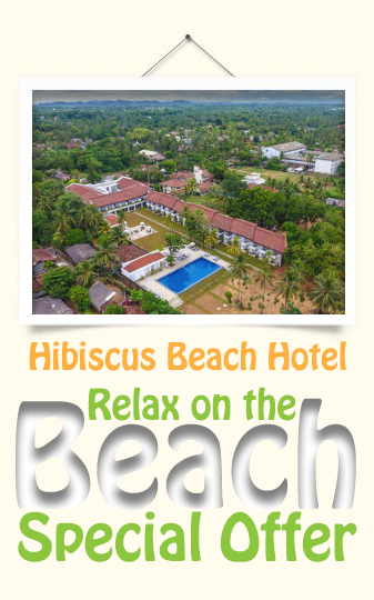 2019-BH-Relax-on-the-Beach-Special-Offer-Hibiscus-Beach